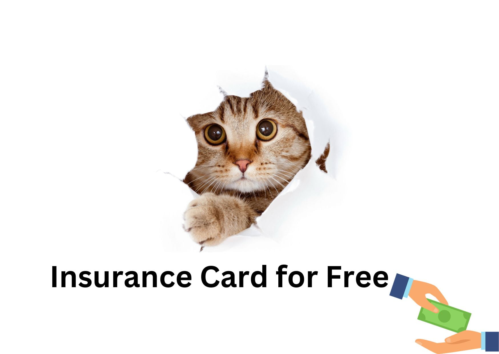 auto insurance card for free